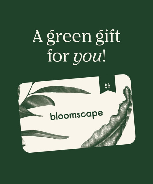 Fluffy's home plant gift card